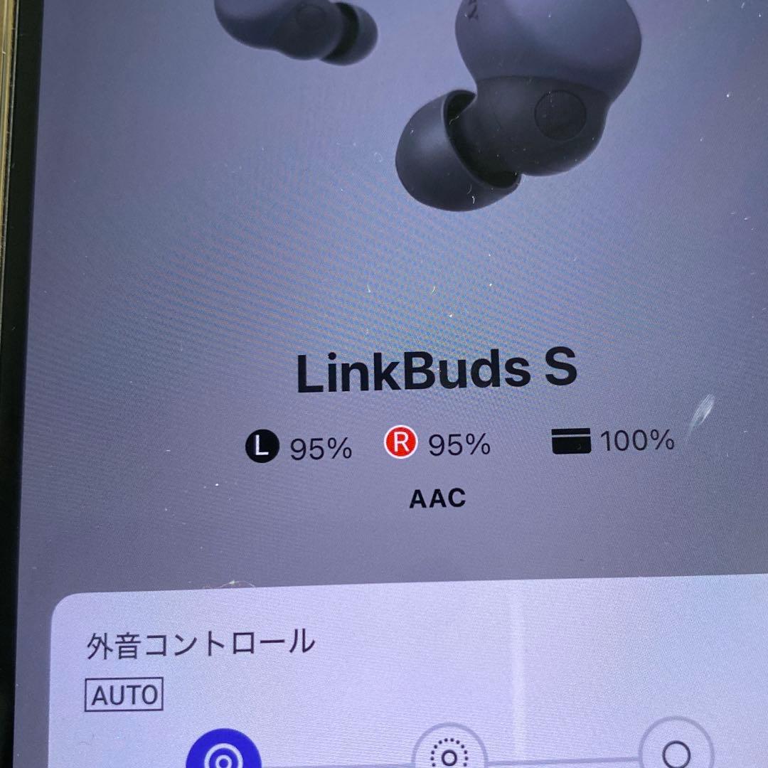 SONY LinkBuds S ワイヤレスイヤホン　WF-LS900N