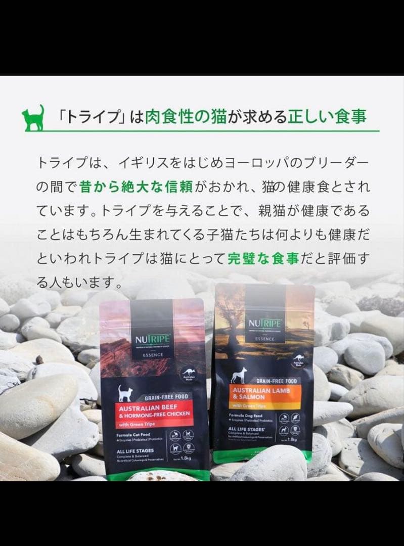 NUTRIPE グレインフリーキャットフード 6kg