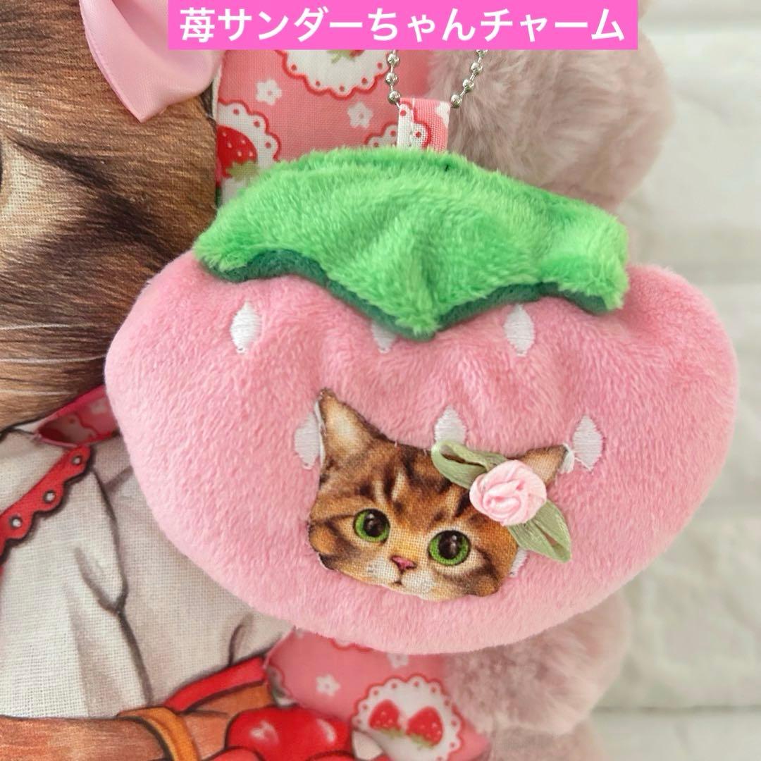 ゆ*ん様 苺リトルサンダーちゃん　コヤンイサムチョン　ポップコーンファー　トート
