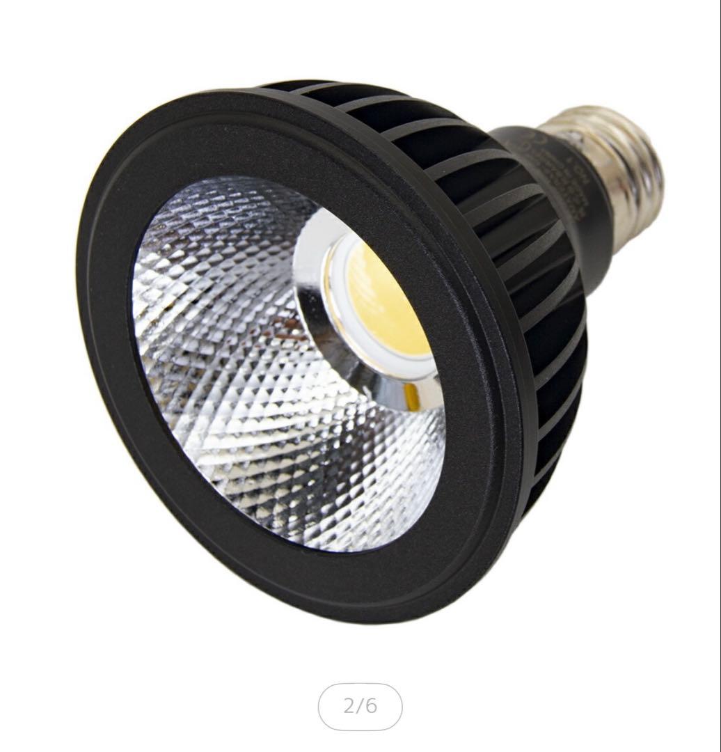 アマテラス　10W LEDライト 黒色　美品