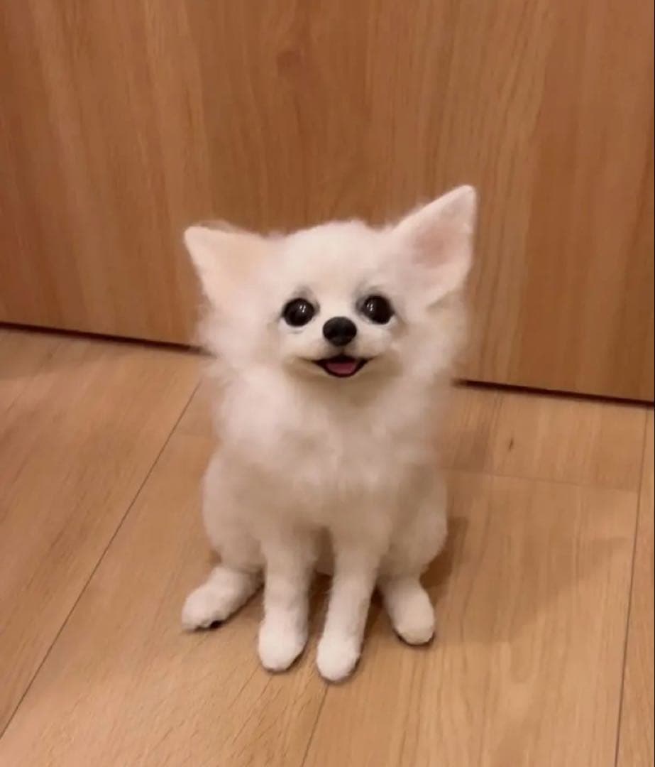 羊毛フェルト　チワワちゃん