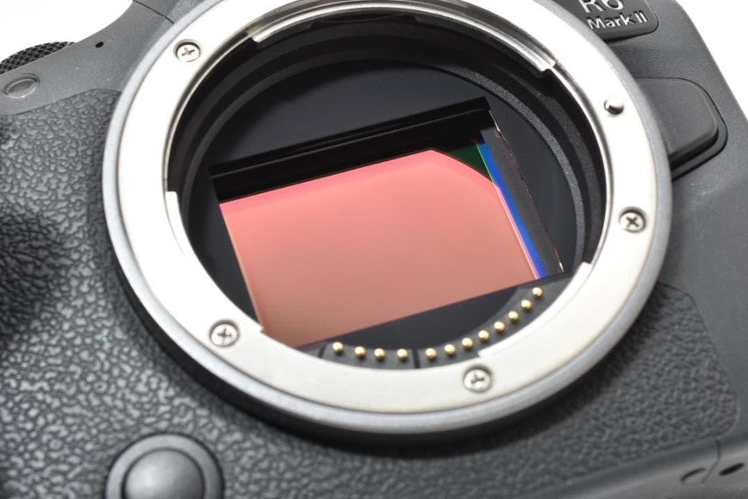 【取説付き】 CANON キャノン EOS R6 MarkII ミラーレスカメラ