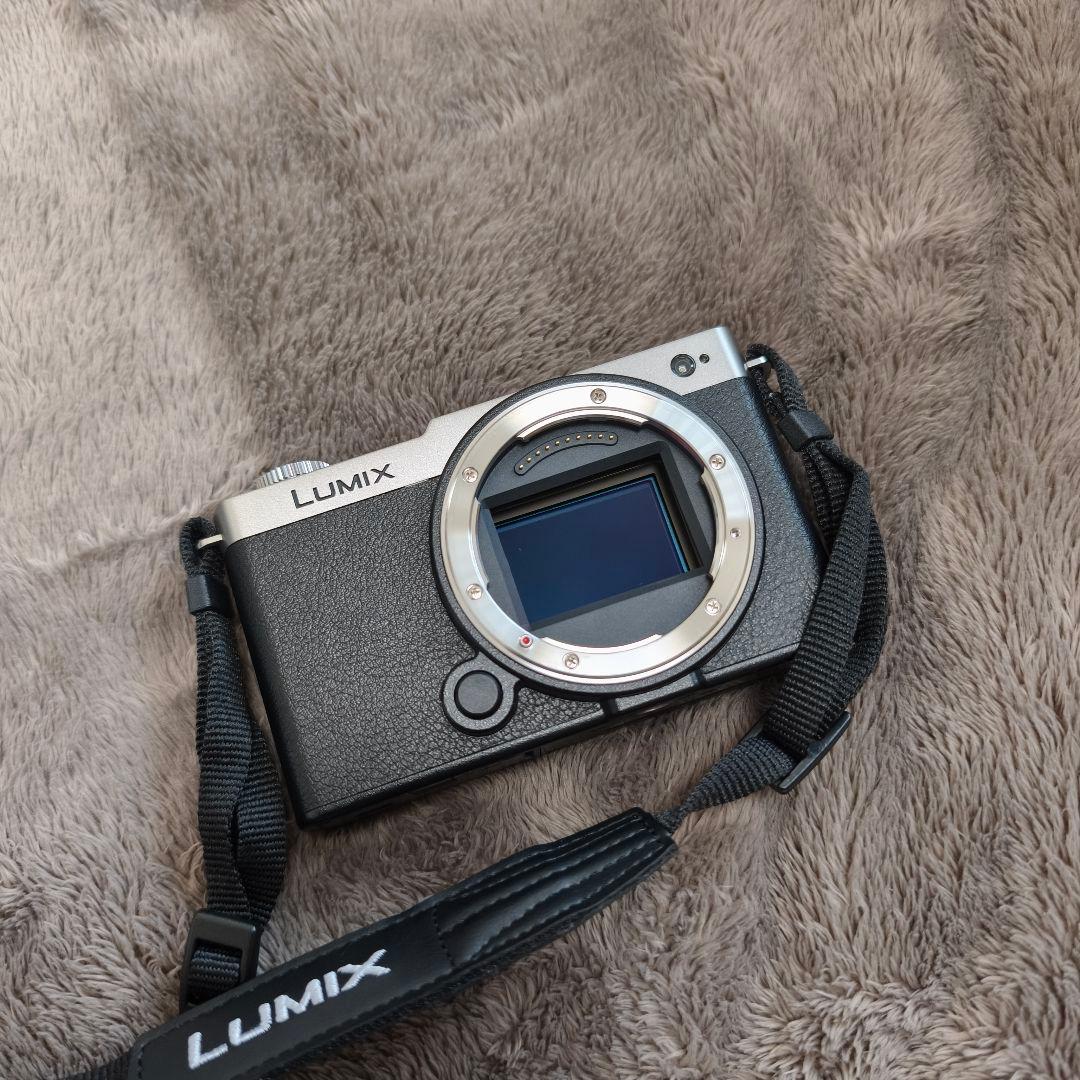 ［2/18まで値下げ］LUMIX S9 ダークシルバー【ボディのみ】
