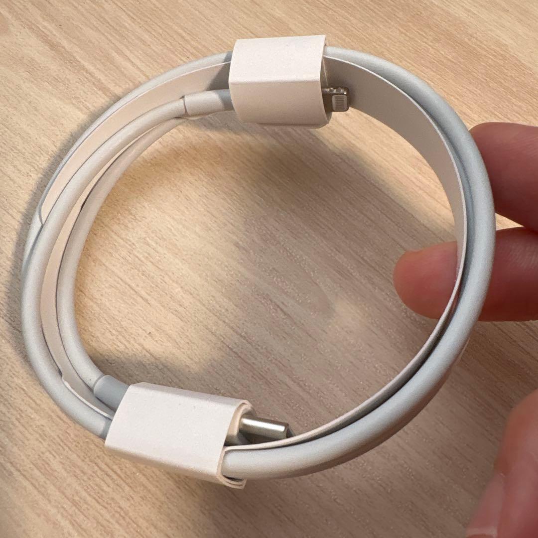 Apple AirPods Pro (第1世代) ワイヤレスイヤホン