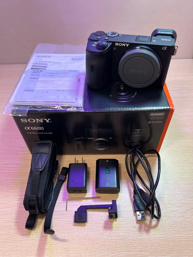 SONY α6600 ミラーレス一眼 ボディのみ 美品