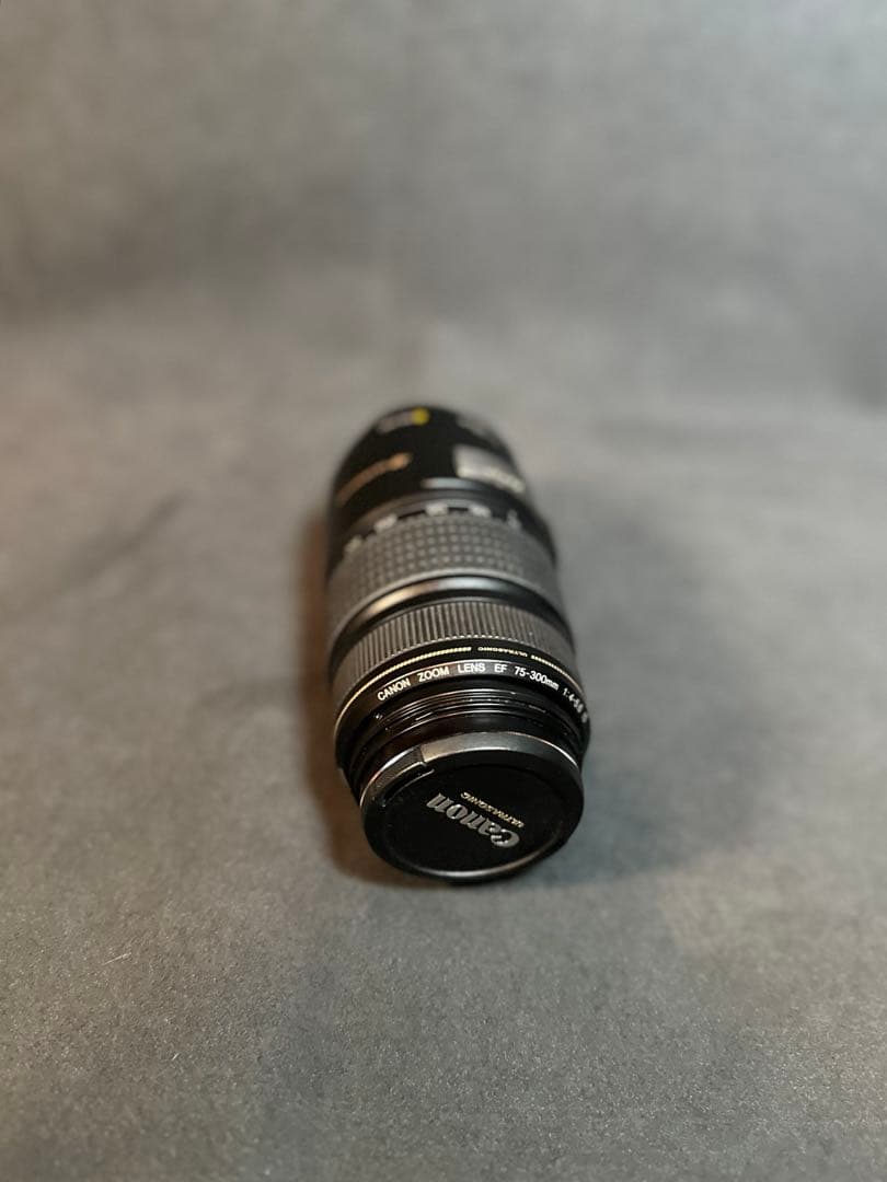 Canon EF75-300mm F4-5.6 IS USM 望遠 レンズ