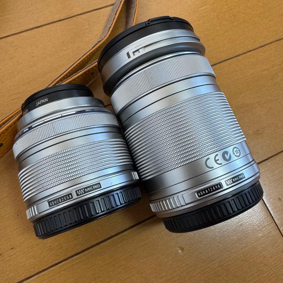 OLYMPUS E-PL6 ミラーレス一眼カメラ 付属品付