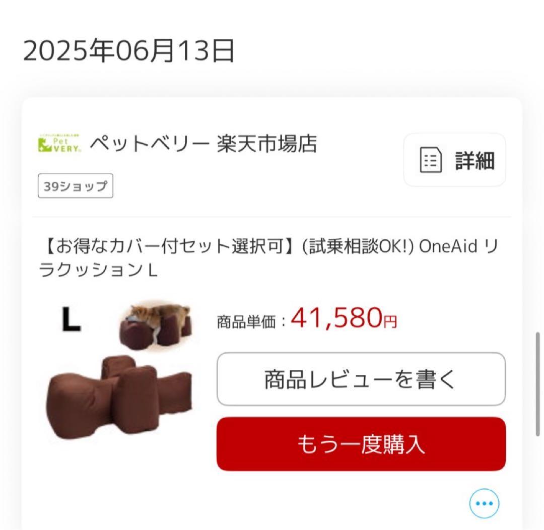 リラクッション L 専用カバー付き