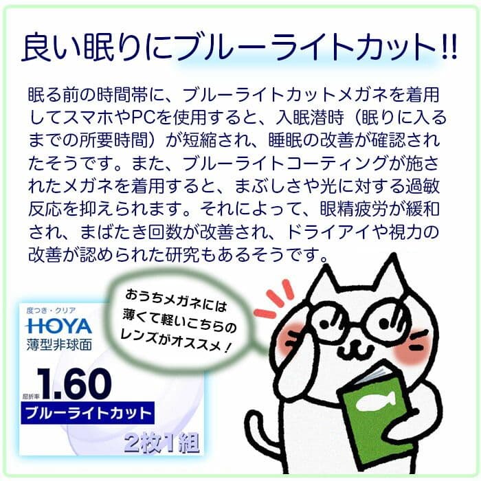 POLICE グレー 丸型メガネ ケース付き