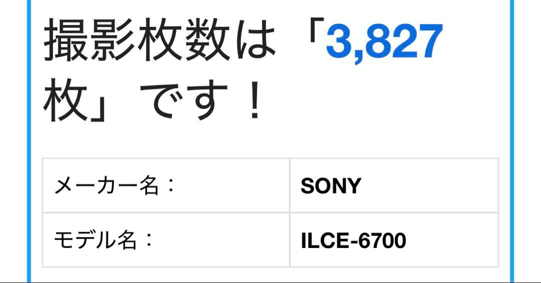 sony α6700 ILCE-6700 APS-C ミラーレス一眼カメラ