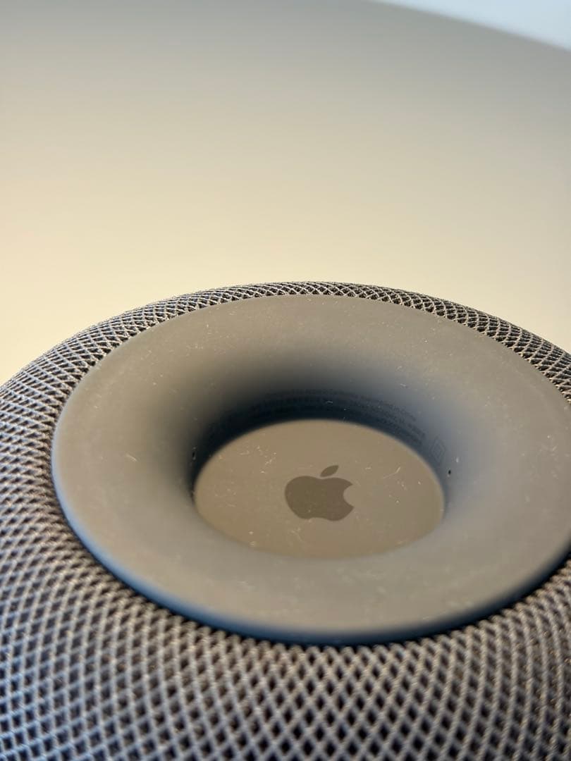 Apple Pod 第1世代 スペースグレー 本体のみ