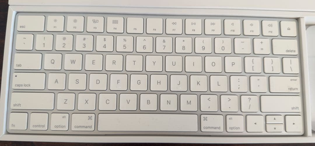Apple Magic Keyboard & Magic Mouse 2 セット