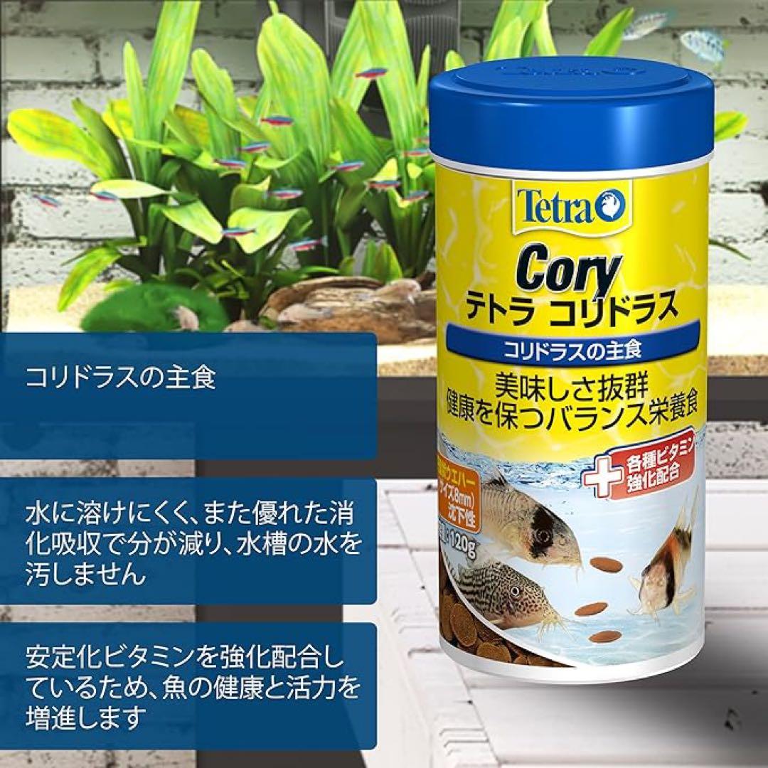 テトラ　コリドラス 120g コリドラスや底棲魚の主食 バランス栄養食 熱帯魚