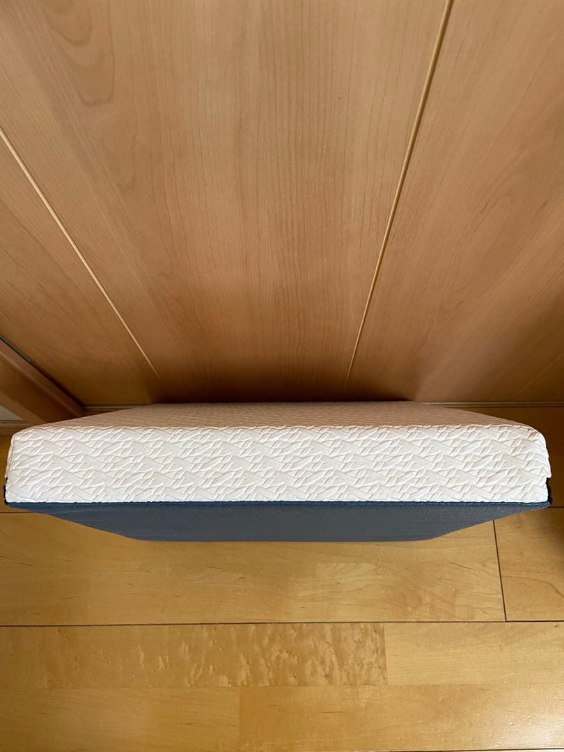 【美品】サンテプラス フレックスクッション Flexcushion