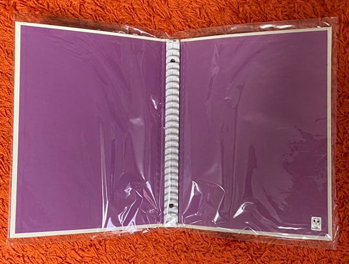 【珍品】【激レア】東京ディズニーランド　ルーズリーフ　初期商品