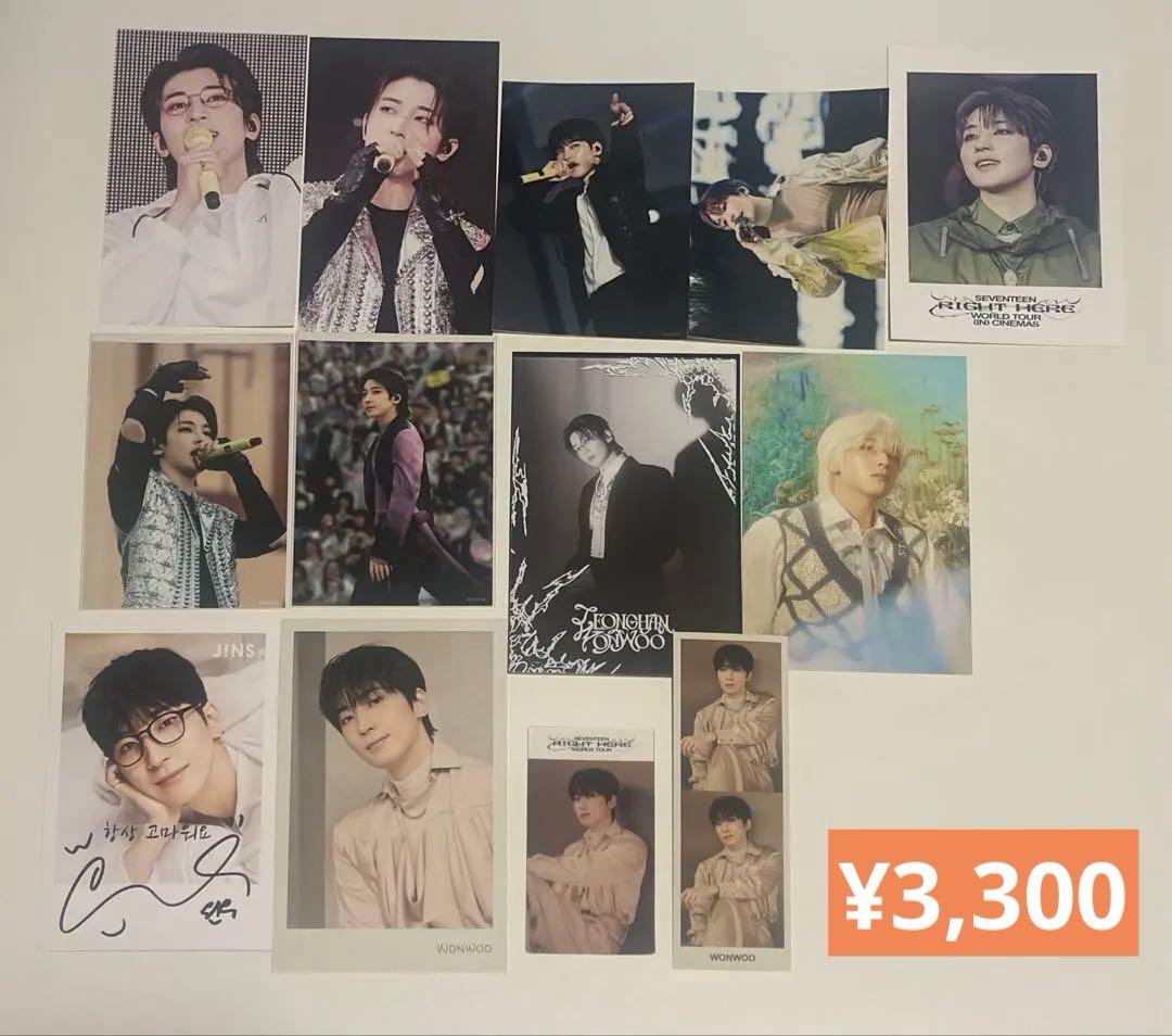 SEVENTEEN 【ウォヌ】 トレカ他 199点 まとめ売り コンプ多数