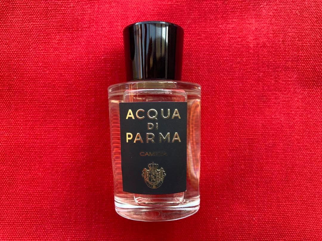 新品未使用 洗練された大人の1本 アクアディパルマ カメリア イタリア製