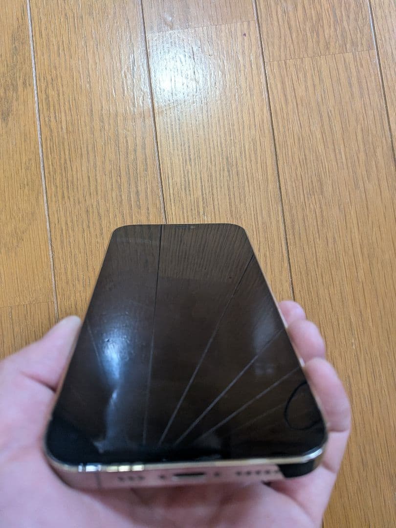 iPhone12PRO 256GB 画面・本体ともに傷無し【超美品】