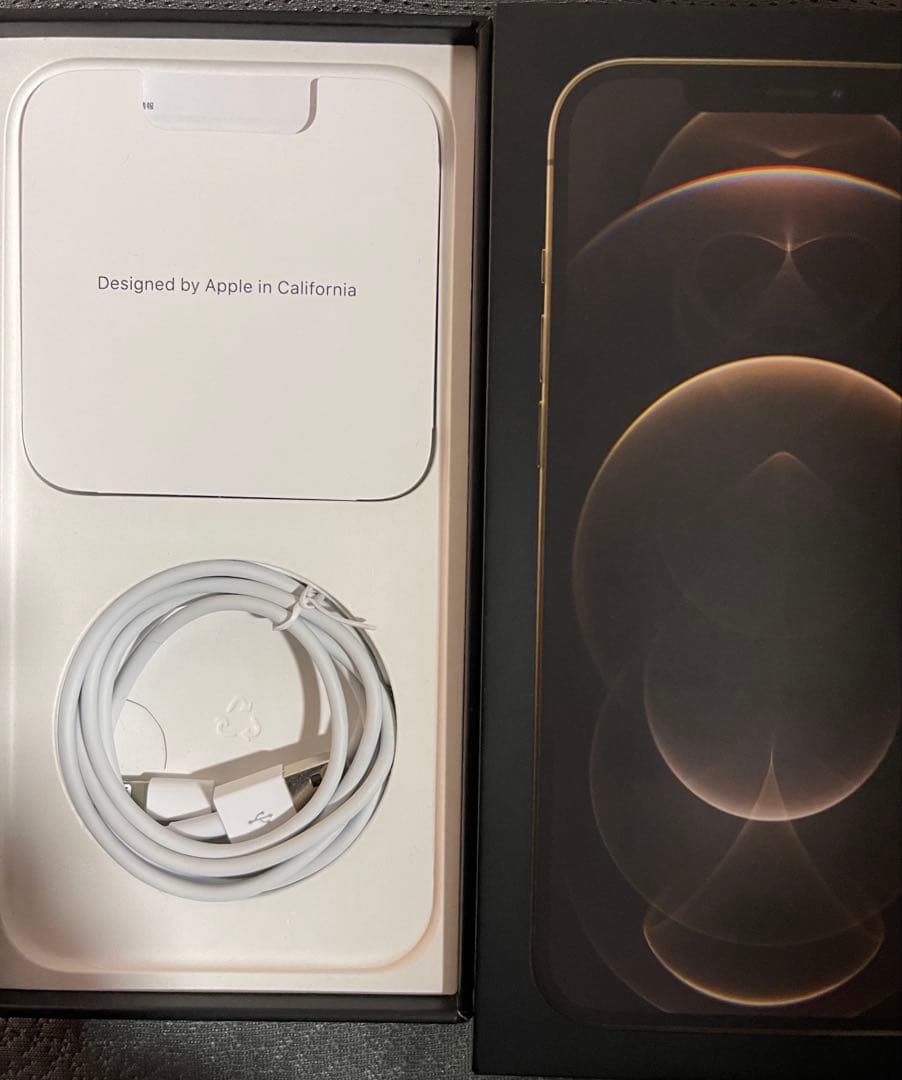 iPhone 12 pro max 256GB ケース付き