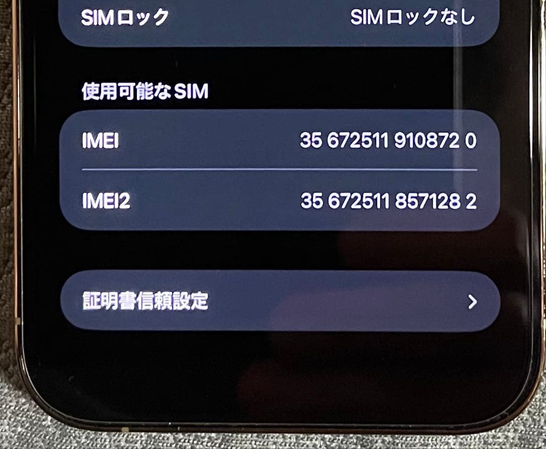 iPhone 12 pro max 256GB ケース付き