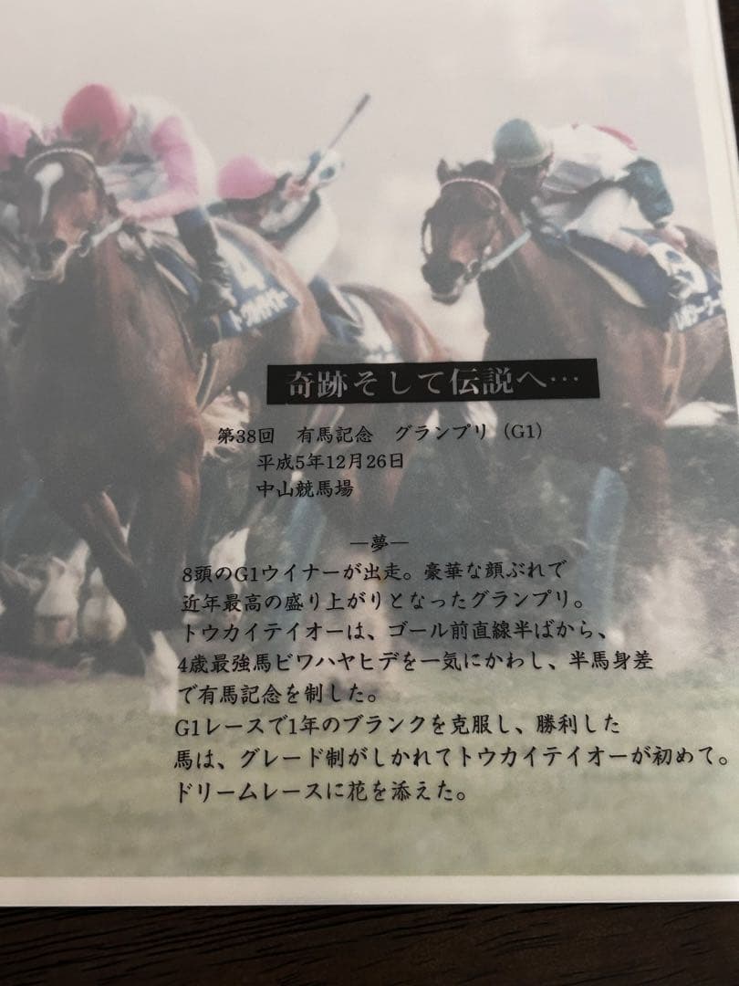 さらば奇跡よトウカイテイオ－引退記念報道写真集限定保存版