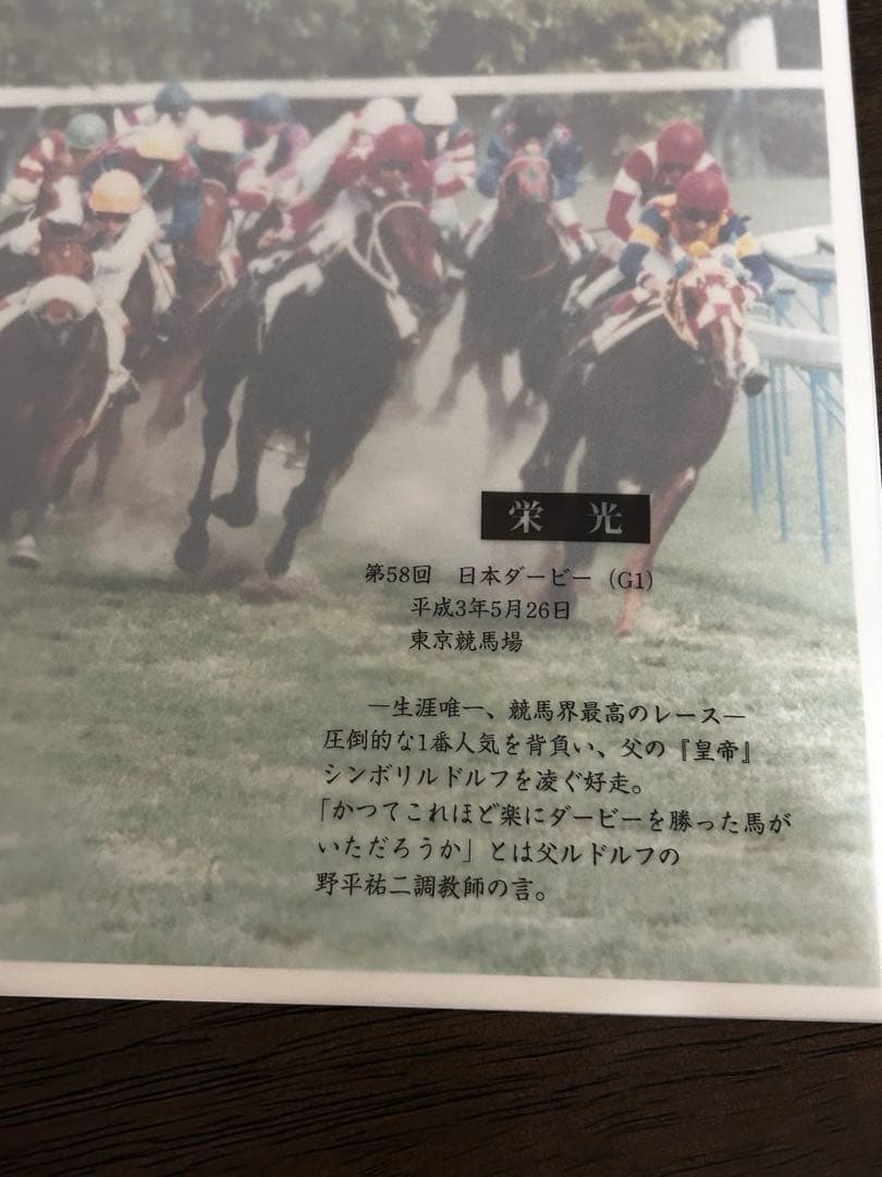 さらば奇跡よトウカイテイオ－引退記念報道写真集限定保存版
