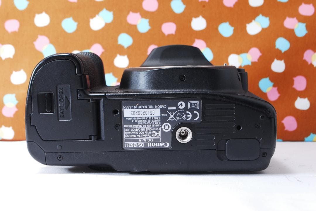 ✨シャッター数3039回✨初心者おすすめ✨Canon 50D レンズセット