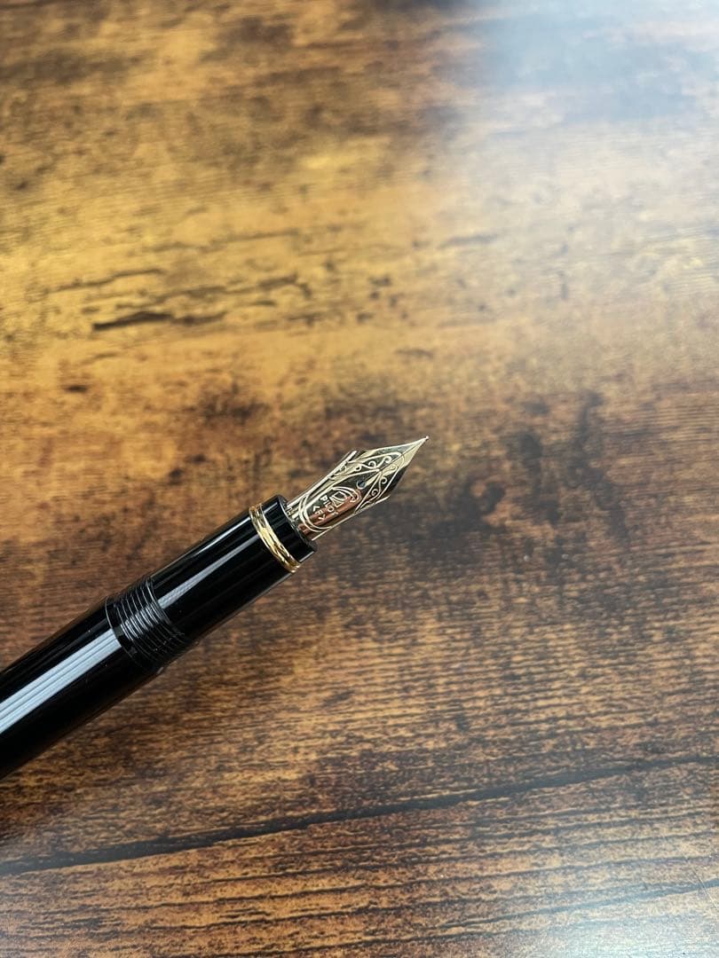 新品未使用　シール付き　ルシーナ　万年筆　パイロット　F 細字