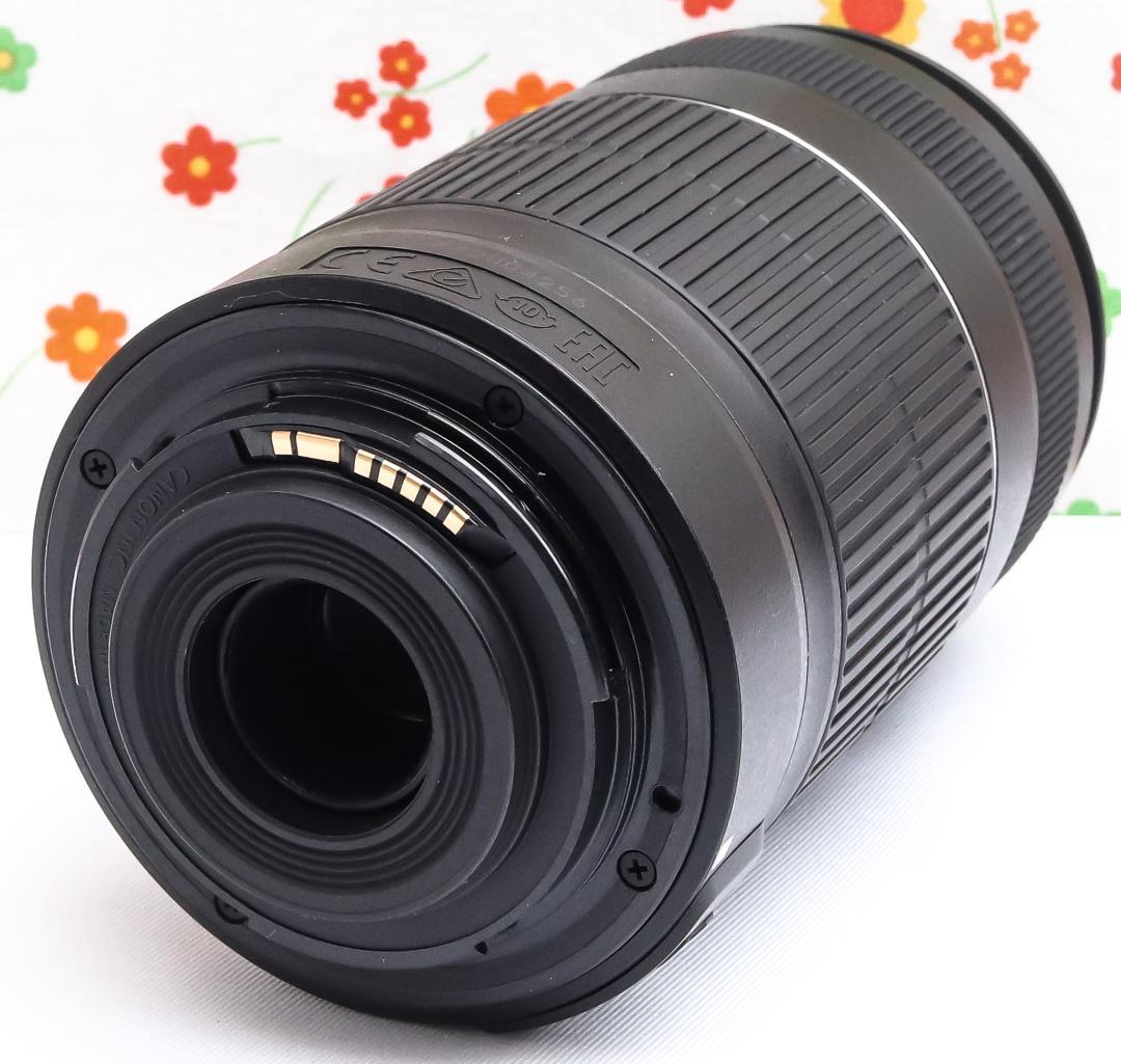 Canon EF-S 55-250mm IS Ⅱ☆手振れ補正☆望遠レンズ