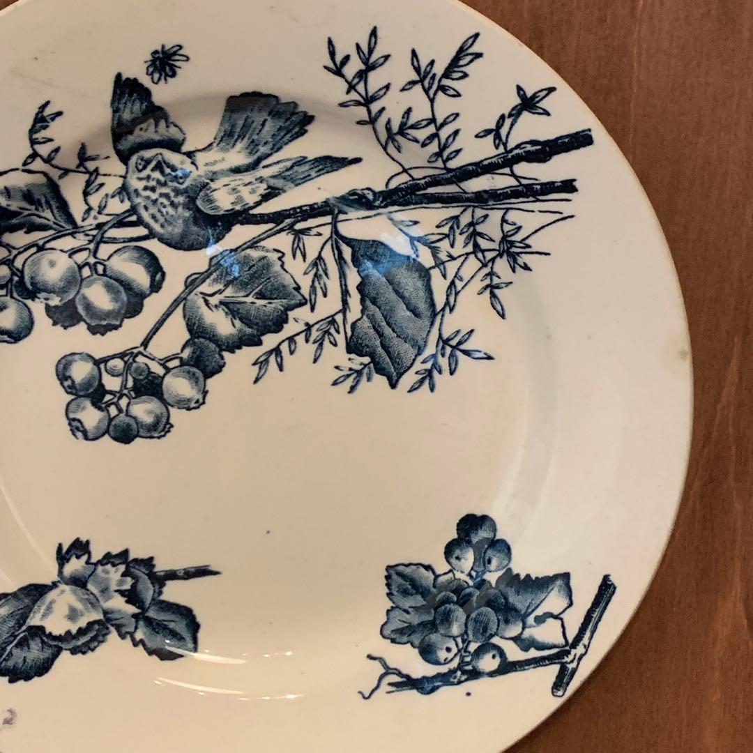 HB & Cie Choisy le Roi 小鳥　フランス　アンティーク