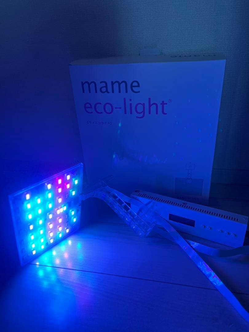 【稀少】マメエコライト　mame eco-light LEDライト マメデザイン