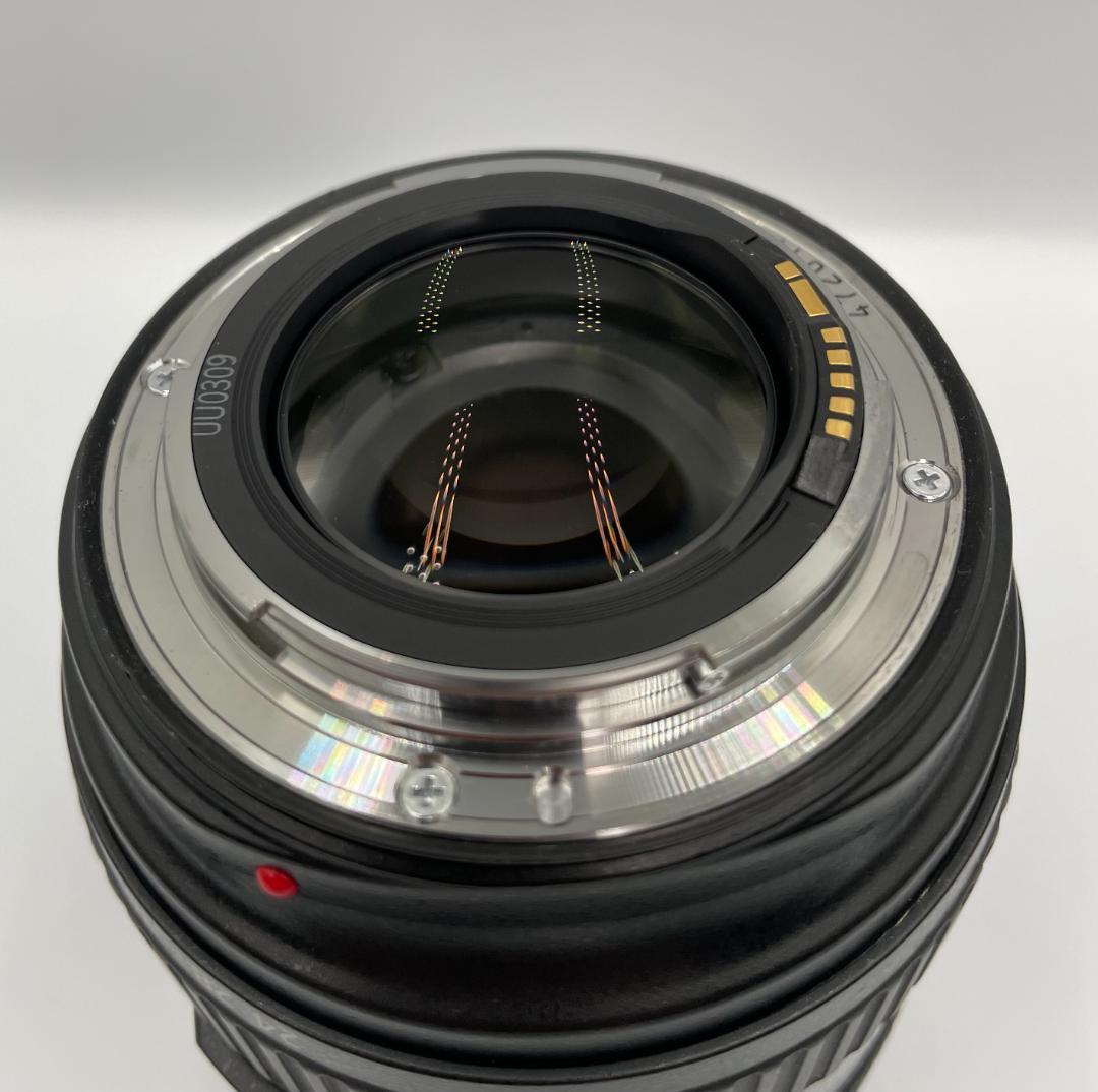 Canon EF 24-70mm f/2.8 L USM キャノンレンズ
