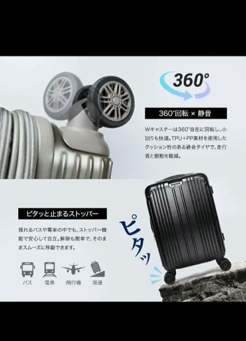 EXCITECH シルバー キャリーケース Lサイズ
