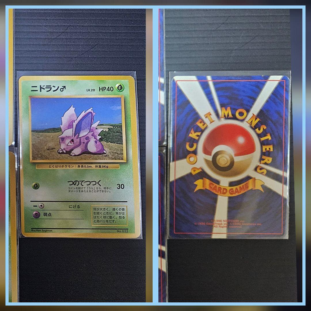 旧裏のみ スターターパック　ニビシティジム　絶版ポケモンカードまとめ売り　大量