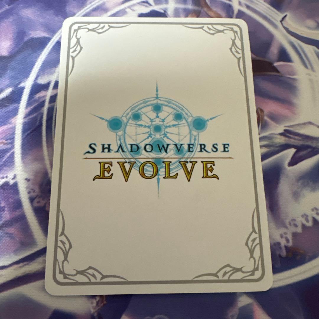 S*i様 第二の絶傑リシェナ リーダーカード