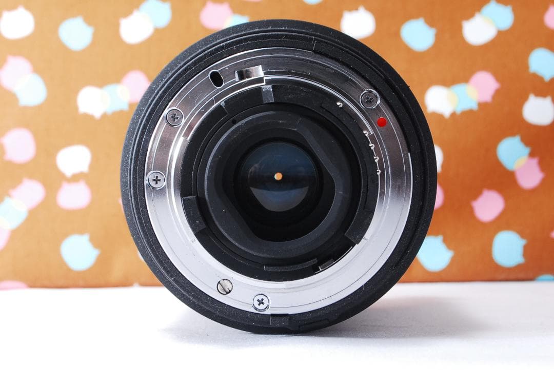 ✨ショット数1820回✨初心者オススメ✨Nikon D70s レンズセット
