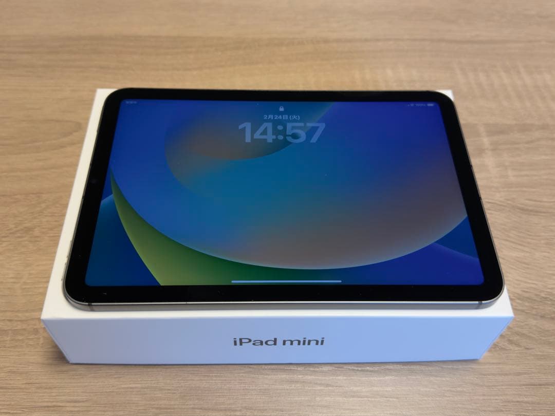 【おまけつき】iPad mini 6 セルラー 256GB スペースグレー