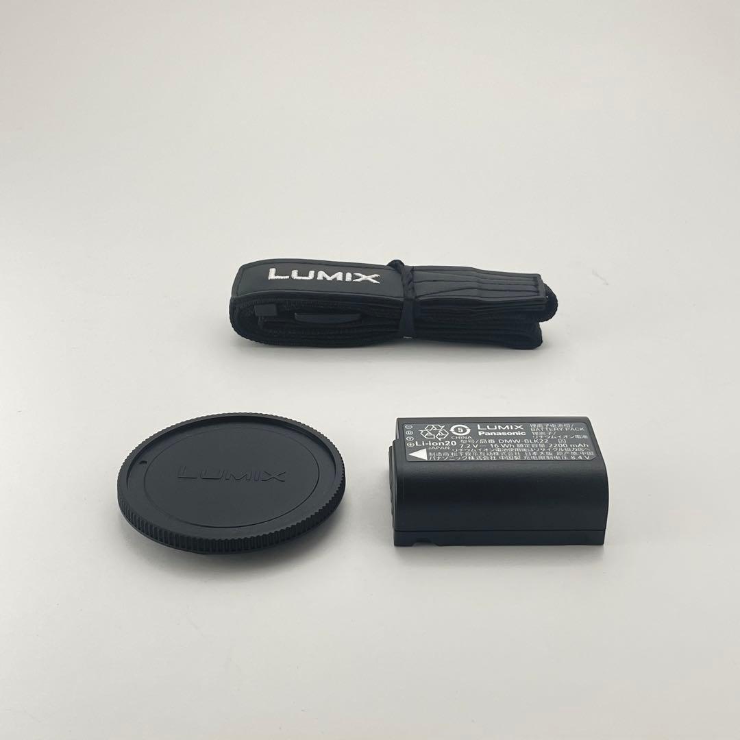 【極上美品・整備点検済み】Panasonic Lumix S9 シルバー ボディ