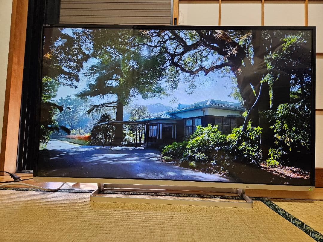 インテリジェンス高画質REGZA42型