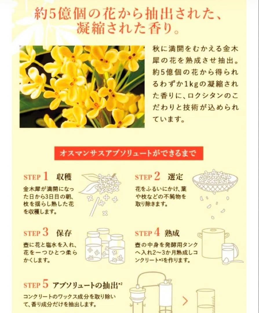 ロクシタン限定品オスマンサス金木犀ハンドクリーム ボディオイルセット