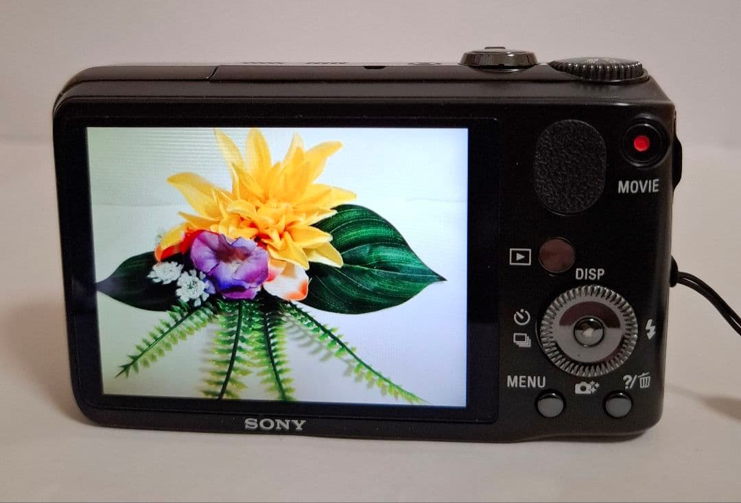[美品]ソニー SONY Cyber-Shot DSC-HX10V コンデジ