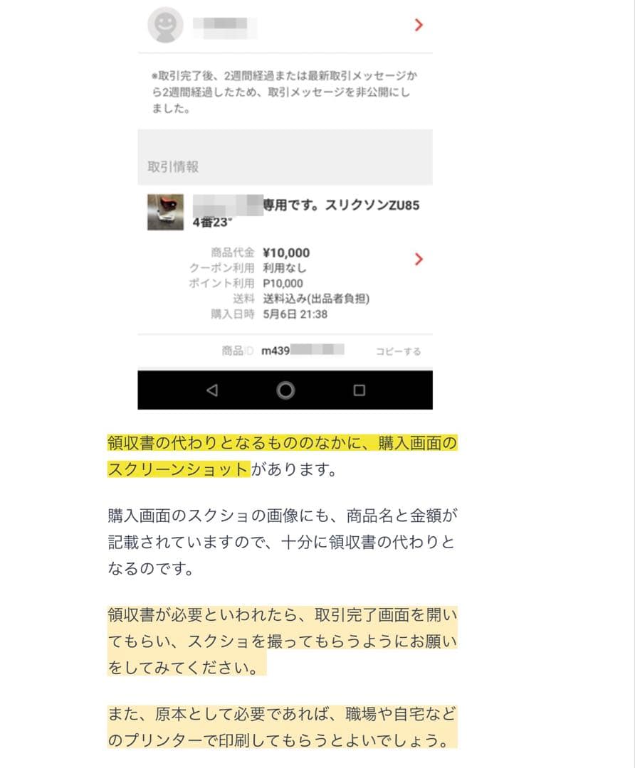 UGREEN NASync DXP4800 Plus 即購入可 新品未使用