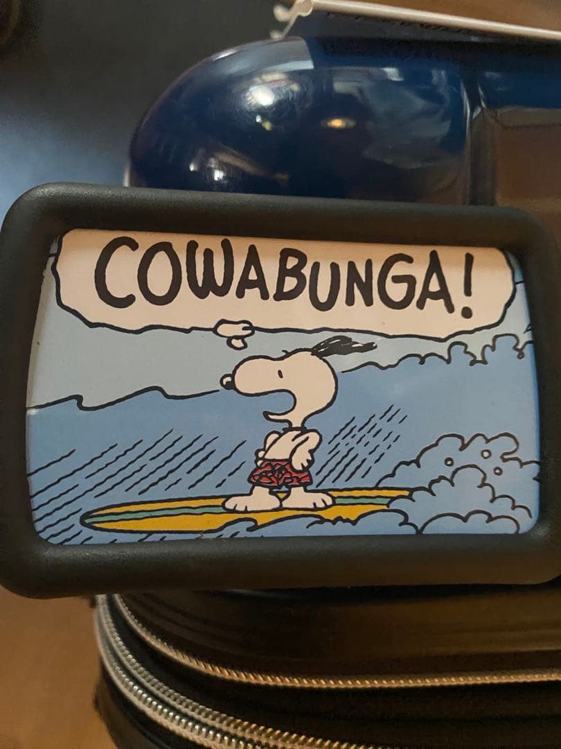 スヌーピー PEANUTS キャリーケース スーツケース　旅行47ℓサーフィン