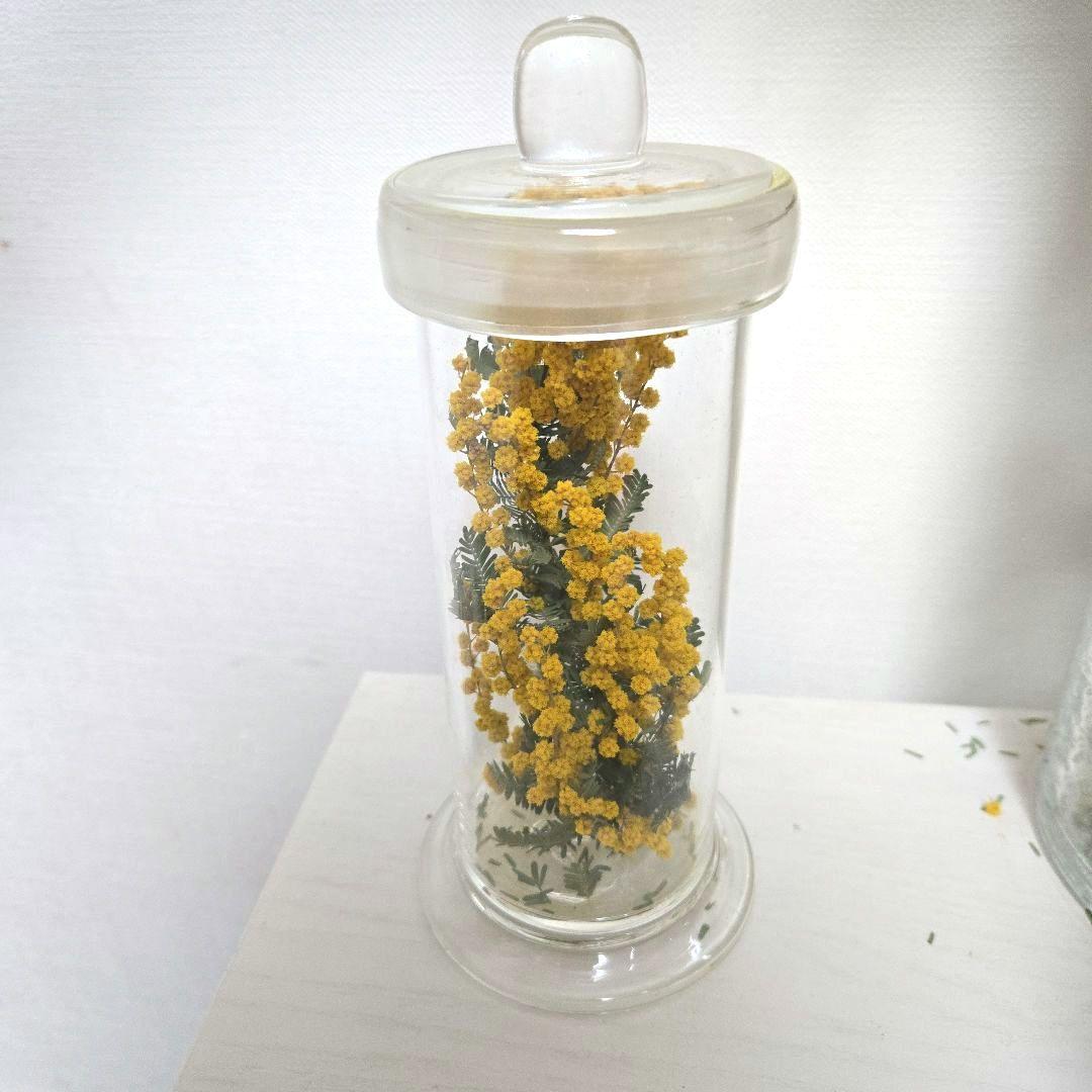 アンティーク デッドストック 標本瓶 薬瓶 蓋付ガラスボトル ミモザ ブロカント