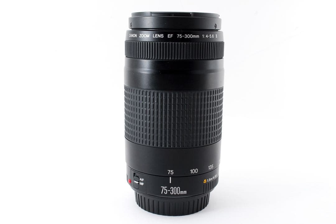CANON キャノン ZOOM LENS EF 75-300mm 1:4-5.6