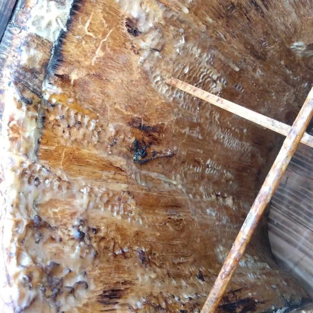 ハイブリッド式日本みつばち捕獲箱 使用歴 入居歴豊富