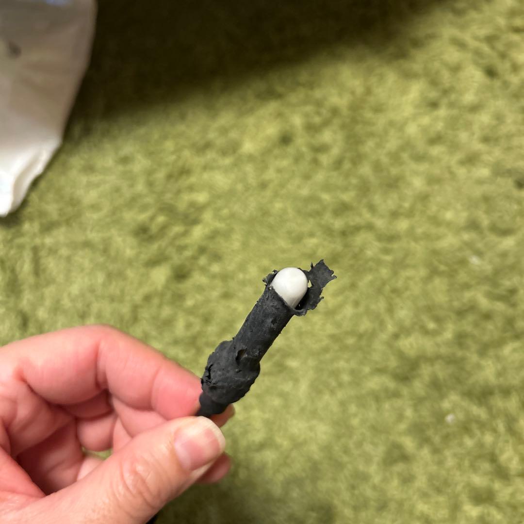 アサヒ 保温電球 温度調整付き　ペットヒーター　100W