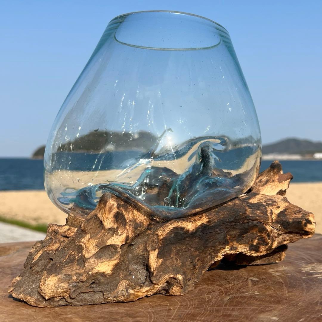 訳あり 流木ガラス オブジェ中Q 花瓶 金魚鉢 ガーデニング テラリウム 観賞魚