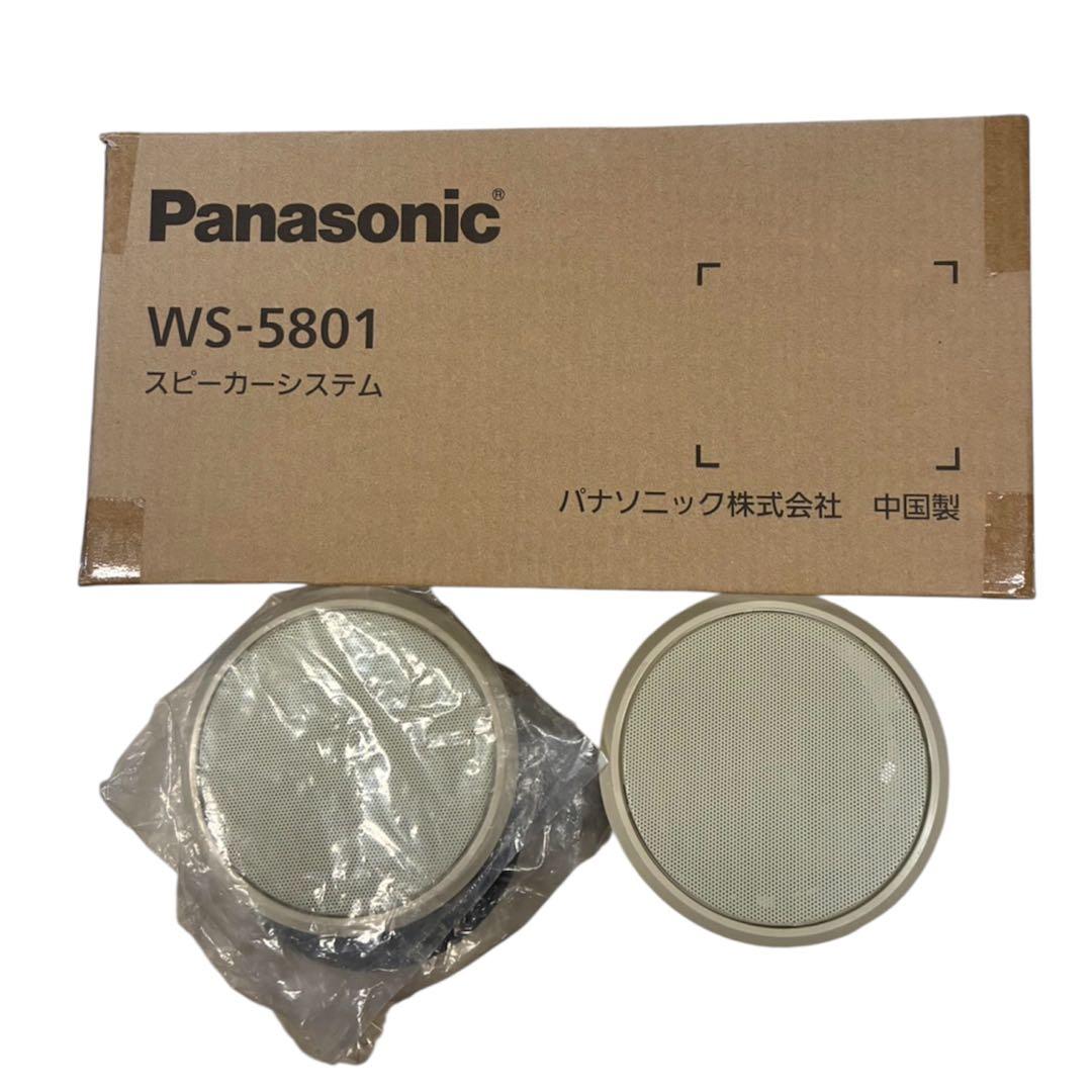 Panasonic WS-5801 防滴スピーカー天井埋込タイプ
