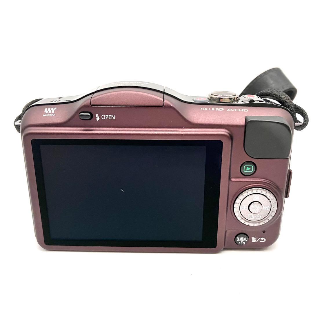 Panasonic DMC-GF3 センシュアルブラウン　ボディ